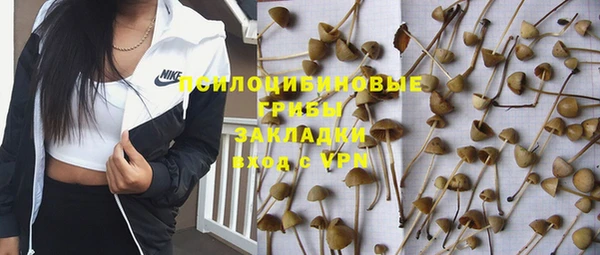 мескалин Надым