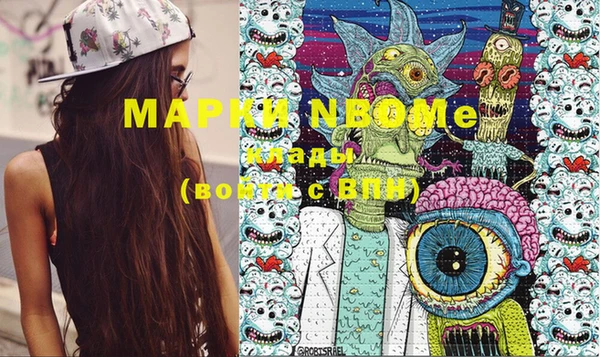 индика Навашино
