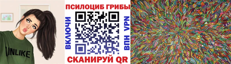 Галлюциногенные грибы мицелий купить цена Прохладный