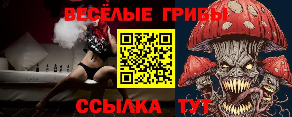Прохладный  Галлюциногенные грибы прущие грибы  Вход с VPN 