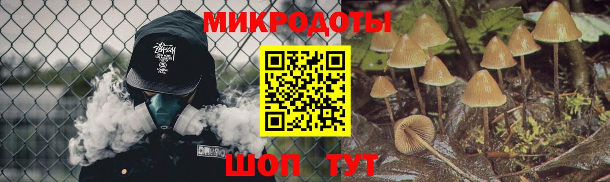 Псилоцибиновые грибы Magic Shrooms Прохладный