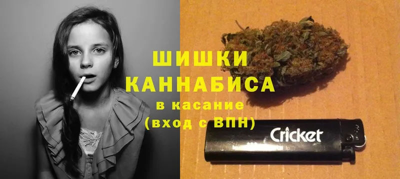 Бошки марихуана Bruce Banner  где можно купить наркотик  hydra сайт  Прохладный 